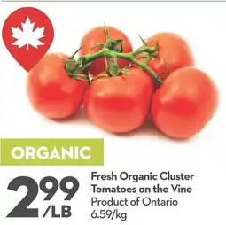 Longo's Fresh Organic Cluster Tomatoes on the Vine offer