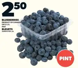 Loblaws Blueberries offer