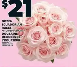 Loblaws Dozen ecuadorian roses offer