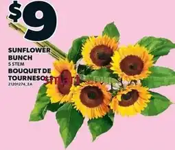 Loblaws Sunflower bunch offer