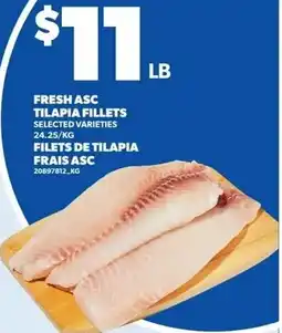 Loblaws Fresh asc tilapia fillets offer