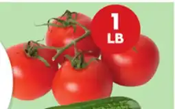 Giant Tiger 1 lb tomatoes on the vine offer