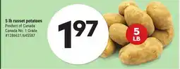Giant Tiger 5 lb russet potatoes offer