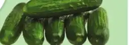 Giant Tiger Mini cucumbers offer