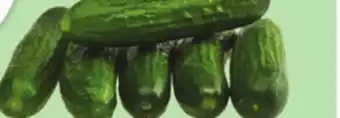 Giant Tiger Mini cucumbers offer