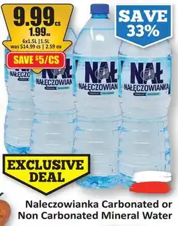 Starsky Naleczowianka Carbonated or Non Carbonated Mineral Water offer