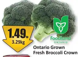 Starsky Ontario Grown Fresh Broccoli Crown offer