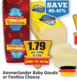 Starsky Ammerlander Baby Gouda or Fontina Cheese offer