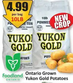 Starsky Ontario Grown Yukon Gold Potatoes offer