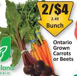Starsky Ontario Grown Carrots or Beets offer