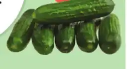 Giant Tiger 340 g mini cucumbers offer