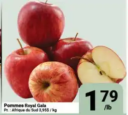 Pasquier Pommes Royal Gala offer