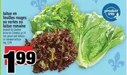 Super C laitue en feuilles rouges ou vertes ou laitue romaine | red, green leaf lettuce or romaine lettuce offer