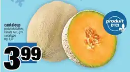 Super C Cantaloup | cantaloupe offer