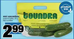 Super C mini concombres | baby cucumbers offer