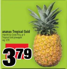 Super C ANANAS TROPICAL GOLD | TROPICAL GOLD PINEAPPLE offer
