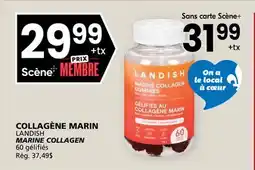 Rachelle-Bery Grocery LANDISH MARINE COLLAGEN offer