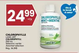 Rachelle-Bery Grocery LAND ART CHLOROPHYLL offer