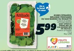 IGA ATTITUDE FRAÎCHE BABY SPINACH, SPRING MIX OR SAN MARINO MIX OR ARUGULA offer