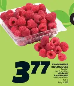IGA ORGANIC RASPBERRIES offer