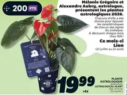 IGA ASTROLOGICAL PLANT offer