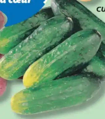 IGA CUCUMBERS FOR MARINATING offer