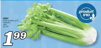 Marché Richelieu CÉLERI | CELERY offer