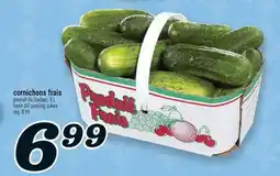 Marché Richelieu CORNICHONS FRAIS | FRESH DILL PICKLING CUKES offer