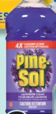 IGA PINE-SOL offer
