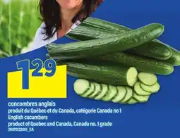 Maxi CONCOMBRES ANGLAIS | ENGLISH CUCUMBERS offer