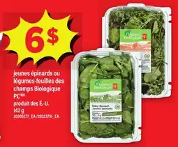 Maxi JEUNES ÉPINARDS OU LÉGUMES-FEUILLES DES JEUNES ÉPINARDS OU LÉGUMES-FEUILLES DES PC offer