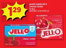 Maxi POUDRE À GELÉE JELL-O offer