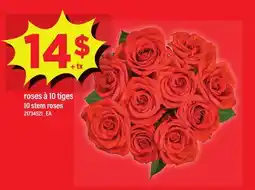 Maxi ROSES À 10 TIGES | 10 STEM ROSES offer