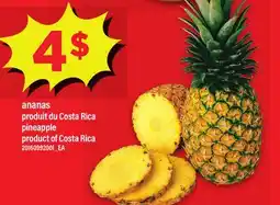 Maxi ANANAS | PINEAPPLE offer