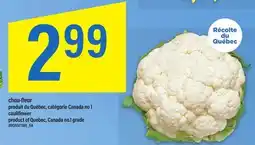 Maxi CHOU-FLEUR | CAULIFLOWER offer