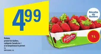 Maxi FRAISES offer