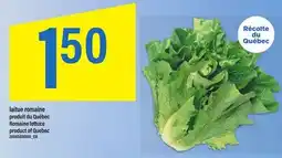 Maxi LAITUE ROMAINE | ROMAINE LETTUCE offer