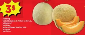 Maxi CANTALOUP | CANTALOUPE offer