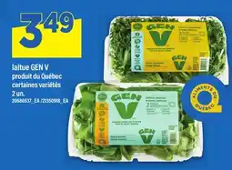 Maxi LAITUE GEN V, 2 UN offer