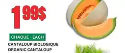 Marches Tau CANTALOUP BIOLOGIQUE offer