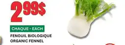 Marches Tau FENOUIL BIOLOGIQUE offer