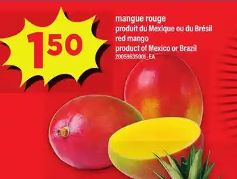 Maxi MANGUE ROUGE | RED MANGO offer
