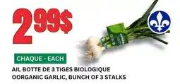 Marches Tau AIL BOTTE DE 3 TIGES BIOLOGIQUE offer