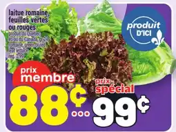 Metro LAITUE ROMAINE, FEUILLES VERTES OU ROUGES | ROMAINE, GREEN OR RED LEAF LETTUCE offer