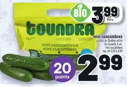 Metro MINI CONCOMBRES | MINI CUCUMBERS offer