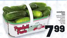 Metro CORNICHONS FRAIS | FRESH PICKLING CUCUMBERS offer