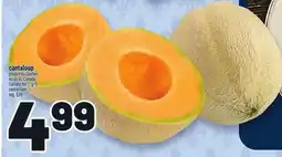 Metro CANTALOUP | CANTALOUPE offer