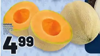 Metro CANTALOUP | CANTALOUPE offer