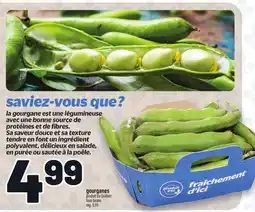 Metro GOURGANES | FAVA BEANS offer