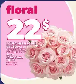 Provigo DOUZAINE DE ROSES DE L'ÉQUATEUR offer